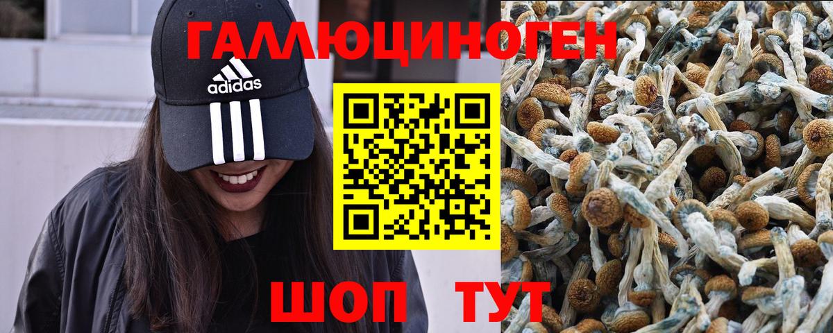 Выкса  Галлюциногенные грибы GOLDEN TEACHER  где купить наркоту  Вход с VPN 